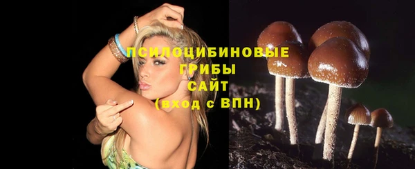 каннабис Белокуриха