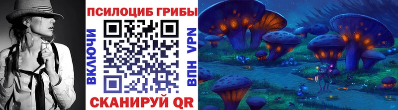 Псилоцибиновые грибы Psilocybe  kraken сайт  Вятские Поляны 