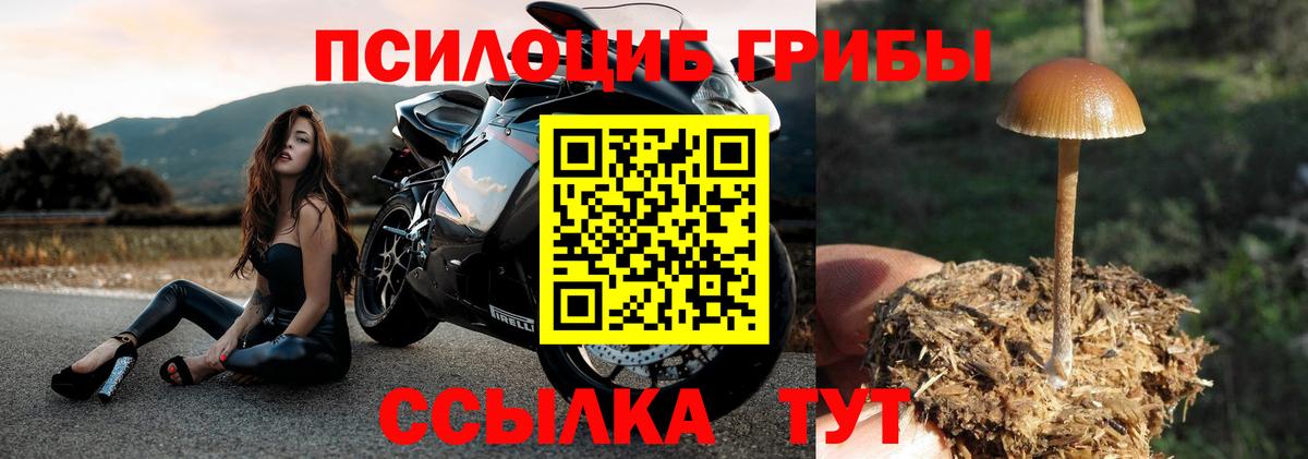 Галлюциногенные грибы ЛСД  Галлюциногенные грибы прущие грибы  Вход с VPN  Вятские Поляны 